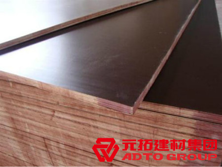  河北木模板如何選購？建筑木模板選購注意哪些方面？