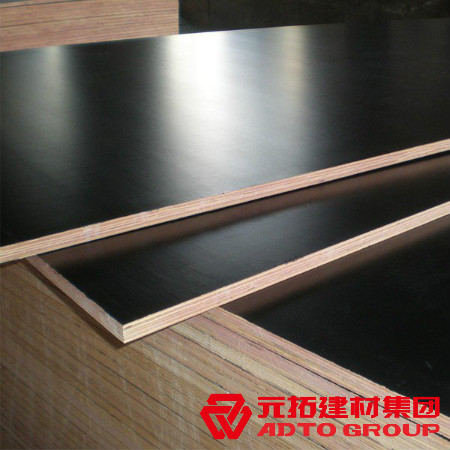 河北建筑木模板多少錢一張？河北木模板價格表？