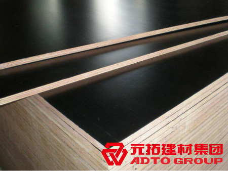 河北建筑木模板生產廠家怎么選購？